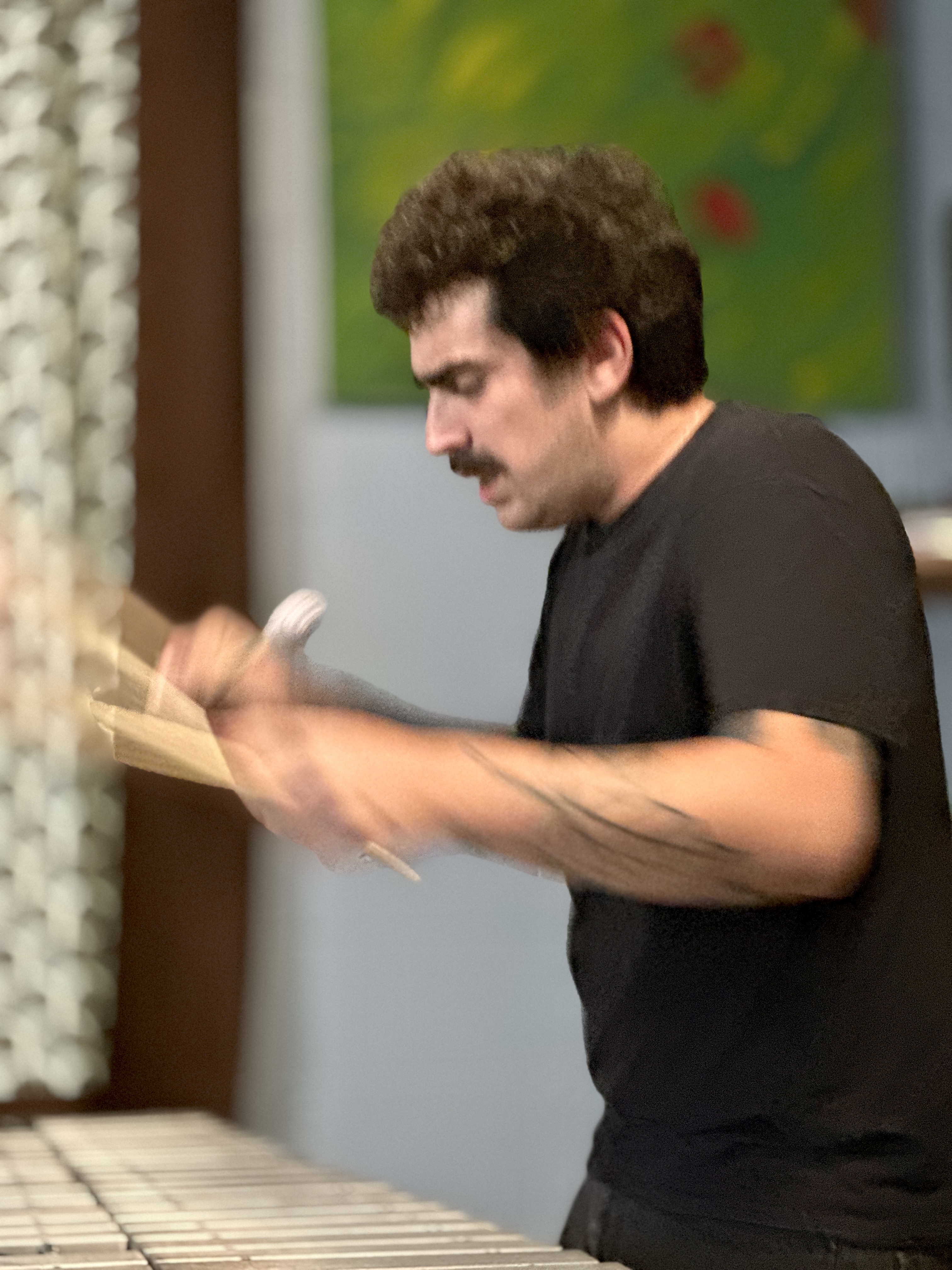 BarkCulture2025-08-12SugarMapleMilwaukeeWI (1).JPG